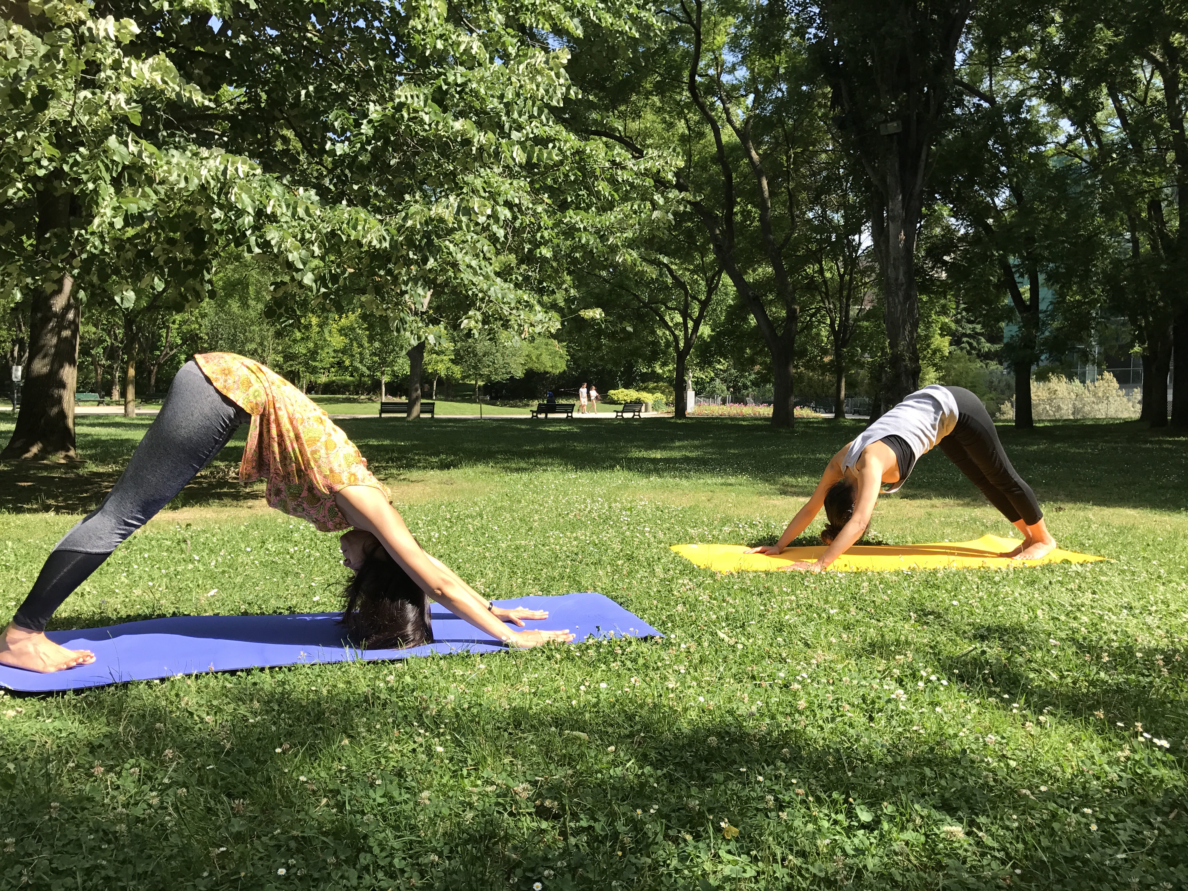 Flexibilité équilibre et dynamisme yoga Toulouse
